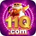 11q VIP - Free Download